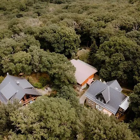 Naturtraum Georgshoehe 3* ثال